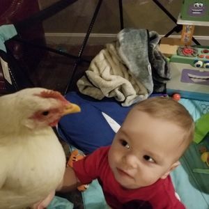 Meet your Posher, Adam